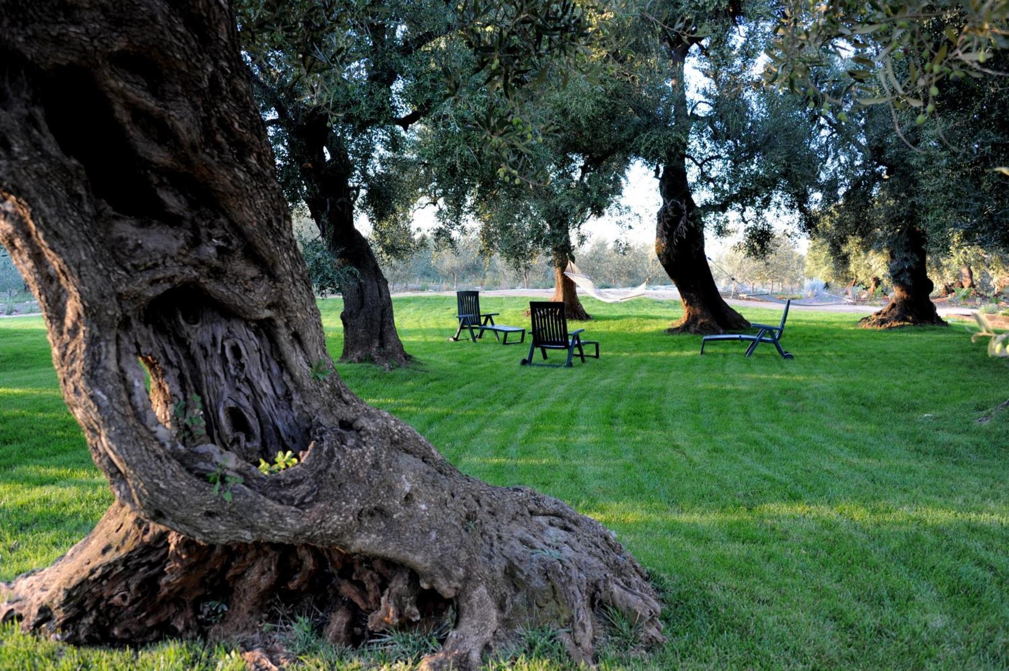 Masseria Lama Di Galizia Ostuni Exterior photo