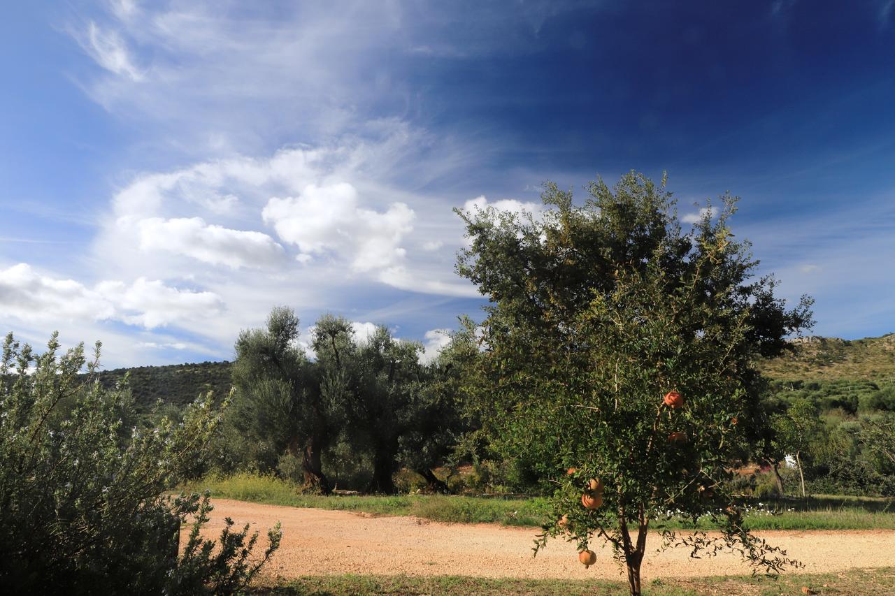 Masseria Lama Di Galizia Ostuni Exterior photo